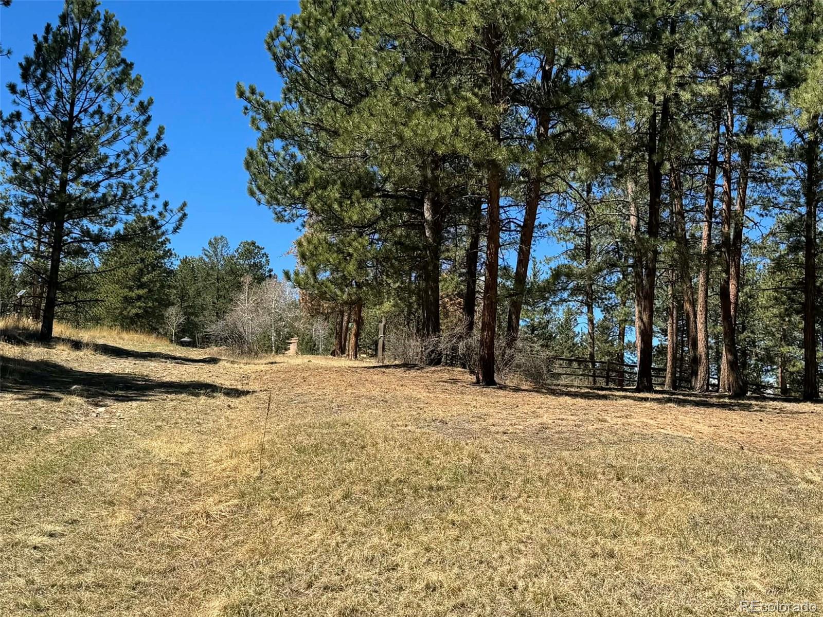 33623 Smith Road Pine, CO 80470 - Photo 31 of 47 Gallery Image 31
