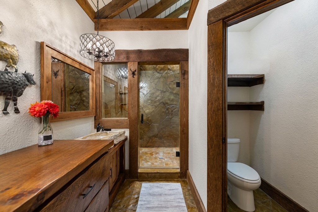 114 Price Circle Blue Ridge, GA 30513 - Photo 19 of 65 a bathroom with a granite countertop sink a toilet and shower