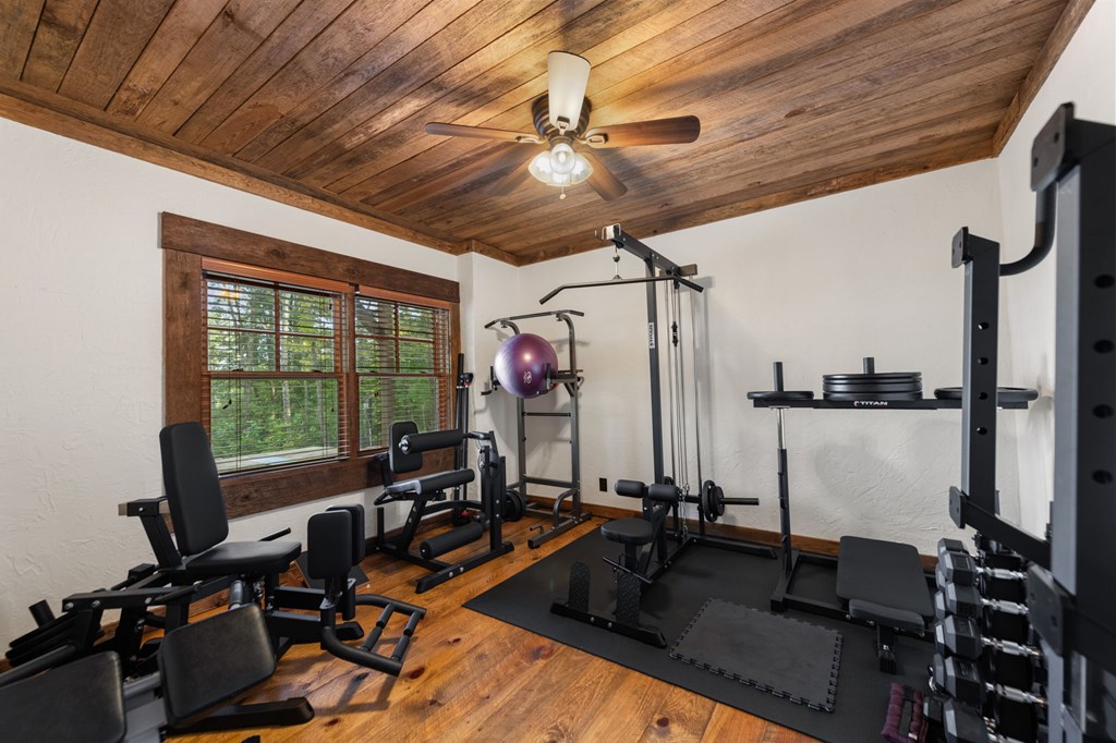 114 Price Circle Blue Ridge, GA 30513 - Photo 48 of 65 a view of a room with gym equipment