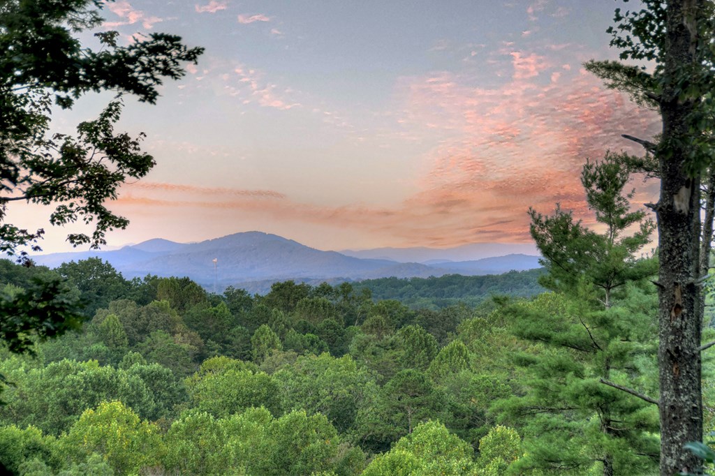 114 Price Circle Blue Ridge, GA 30513 - Photo 65 of 65 a view of a town with mountains in the background