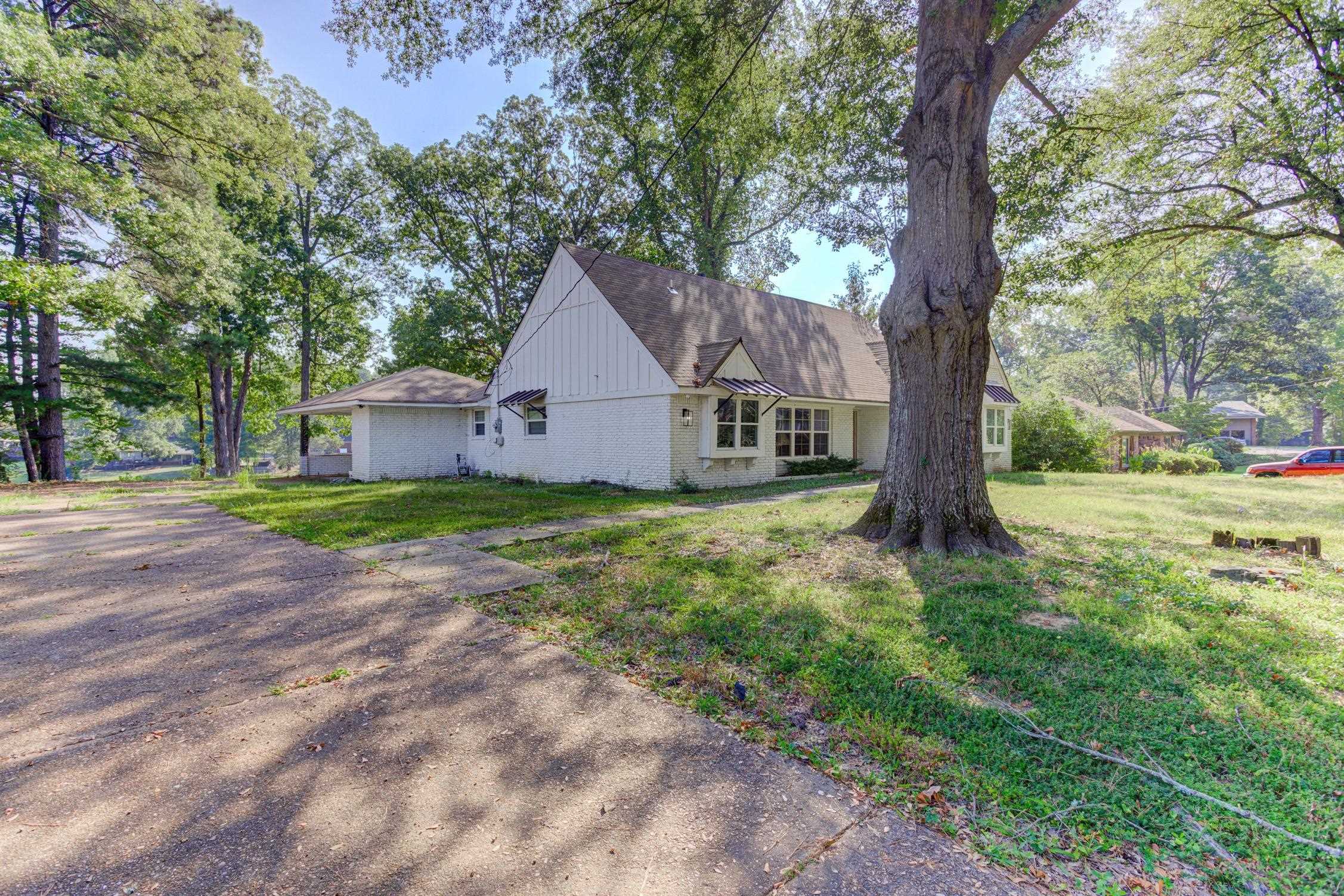 3914 Springfield Drive Memphis, TN 38128 - Photo 3 of 33 a house that has a tree in front of it