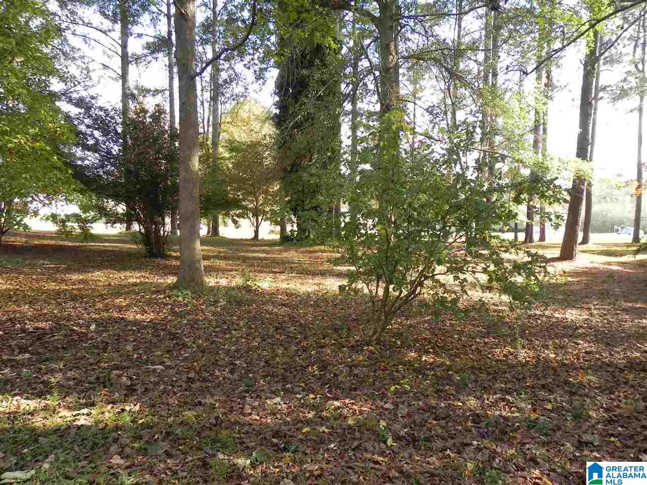 233 Bedwell Street Heflin, AL 36264 - Photo 43 of 43