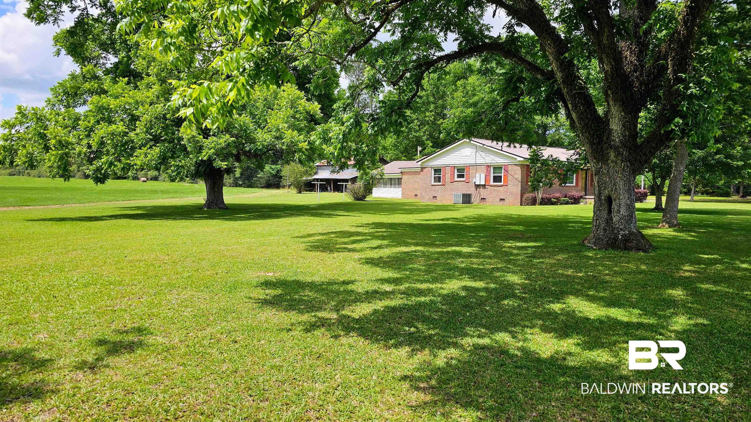 3379 Joe Reeves Road Castleberry, AL 36432 - Photo 5 of 26