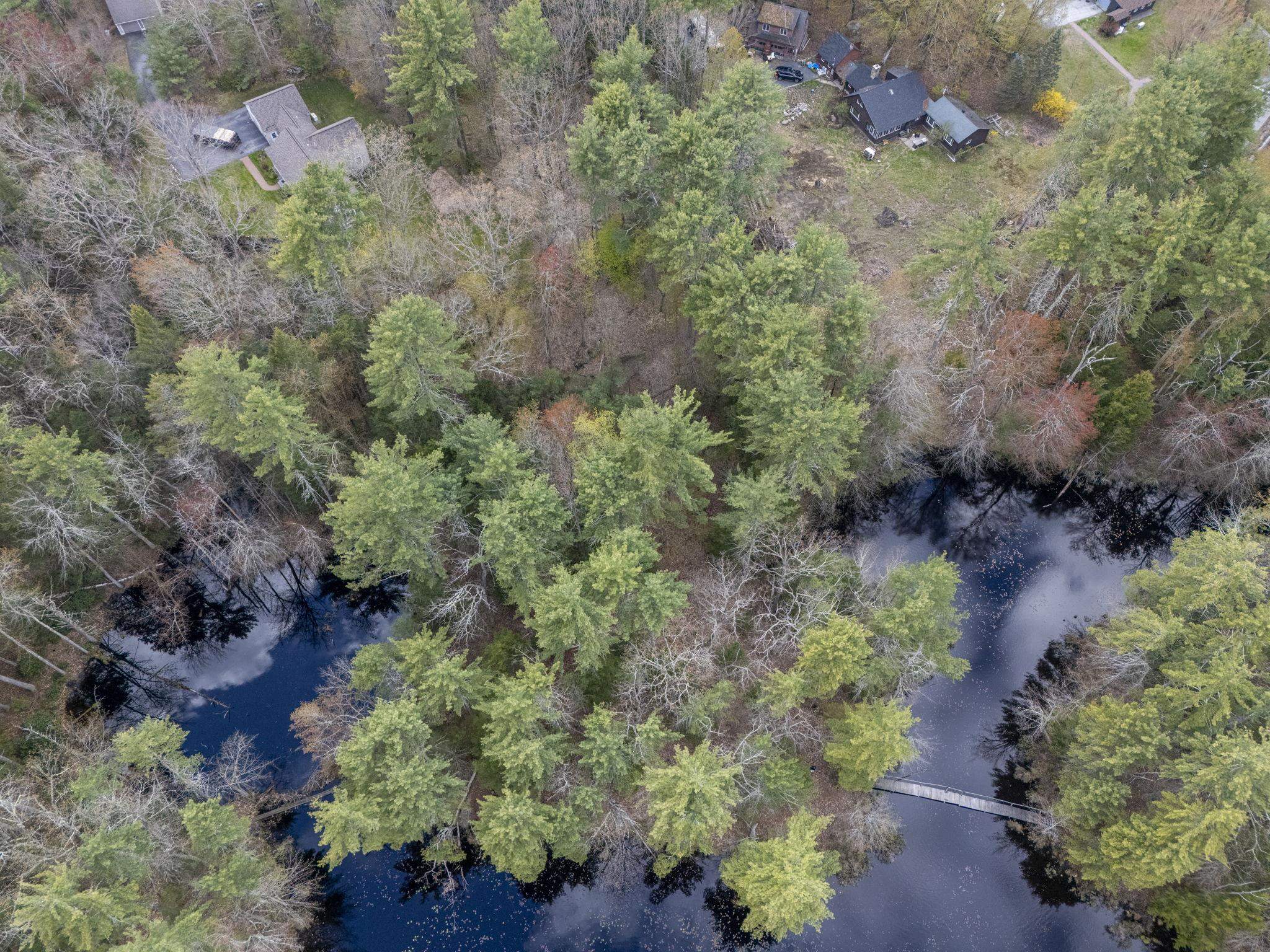34 Cleveland Hill Road Brookline, NH 03033 - Photo 51 of 60 Gallery Image 51