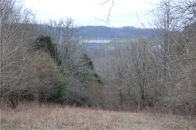 0 Love Valley Road Buffalo Valley, TN 38548 - Photo 5 of 20 Gallery Image 5