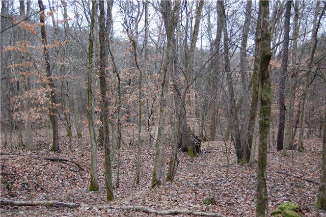 0 Love Valley Road Buffalo Valley, TN 38548 - Photo 6 of 20 Gallery Image 6