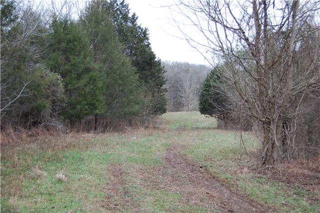 0 Love Valley Road Buffalo Valley, TN 38548 - Photo 7 of 20 Gallery Image 7