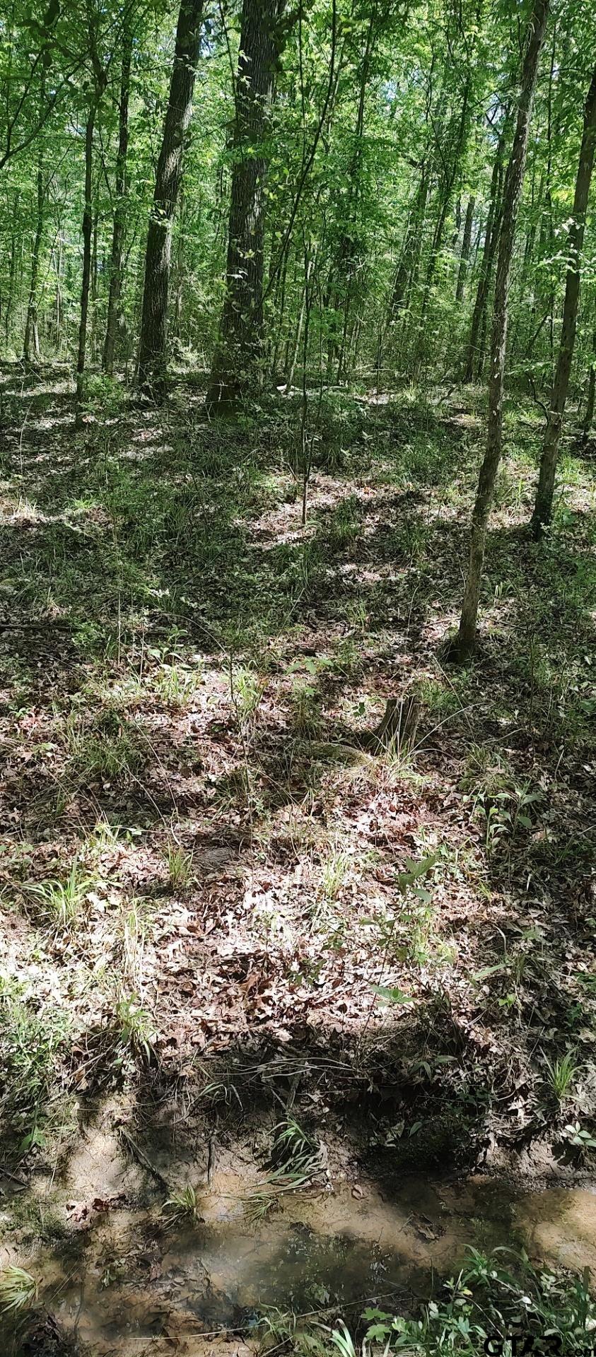 465 Barker Road Timpson, TX 75975 - Photo 17 of 34 a view of lake