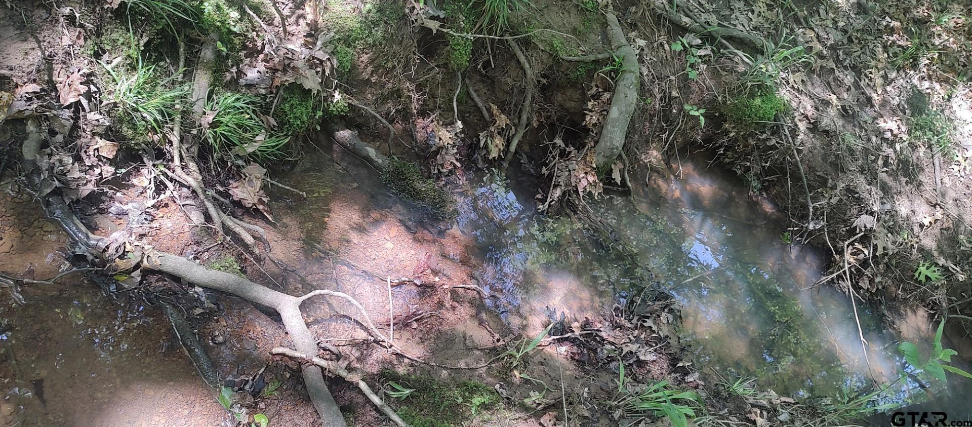 465 Barker Road Timpson, TX 75975 - Photo 20 of 34 a view of a tree in a forest