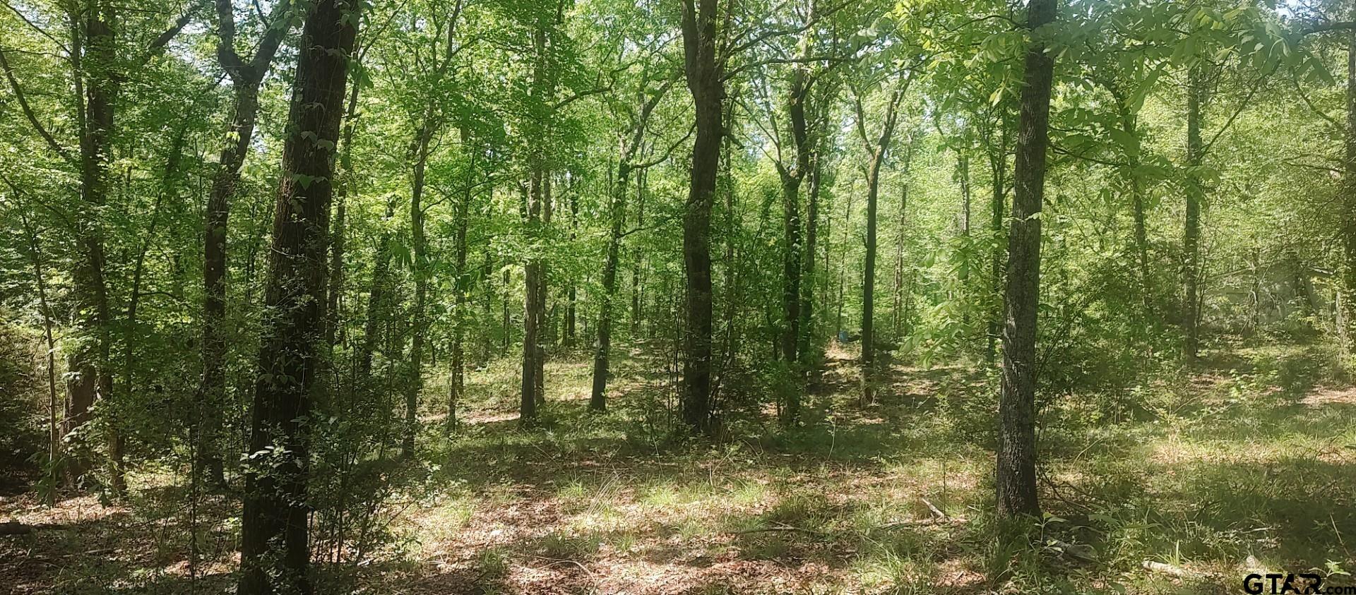 465 Barker Road Timpson, TX 75975 - Photo 2 of 34 a view of outdoor space and trees