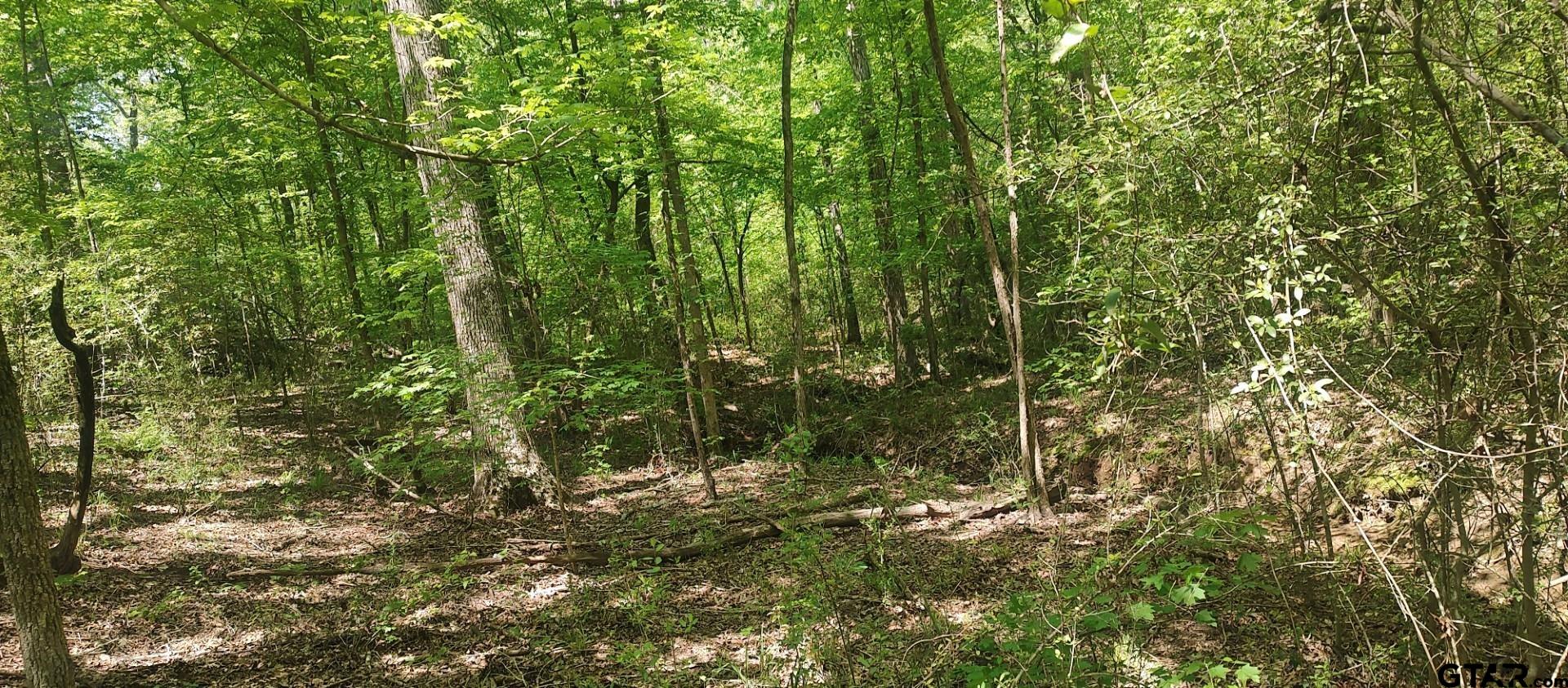 465 Barker Road Timpson, TX 75975 - Photo 22 of 34 a view of a yard