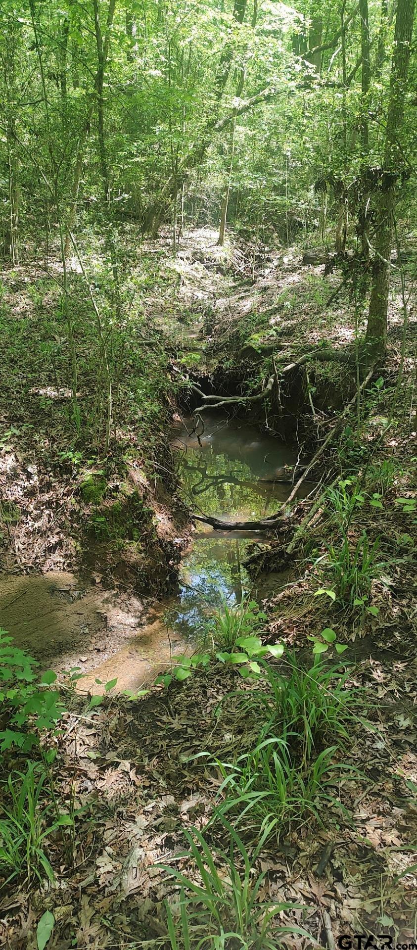 465 Barker Road Timpson, TX 75975 - Photo 23 of 34 a view of lake