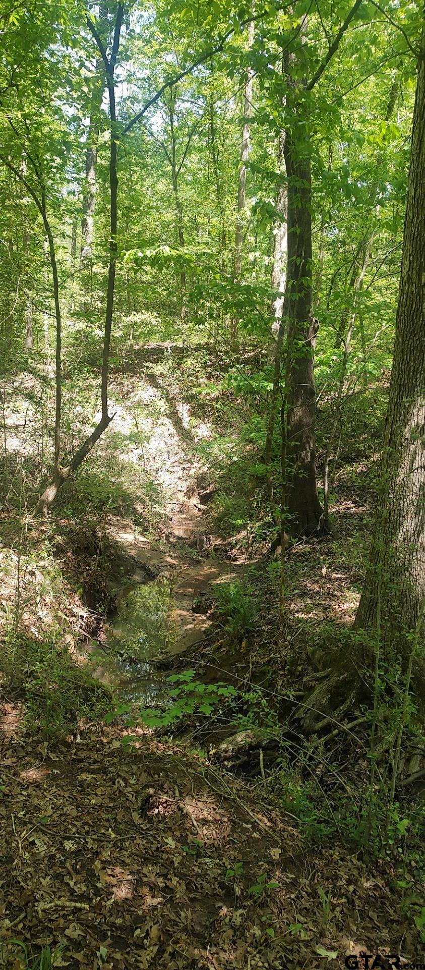 465 Barker Road Timpson, TX 75975 - Photo 24 of 34 a view of outdoor space and trees