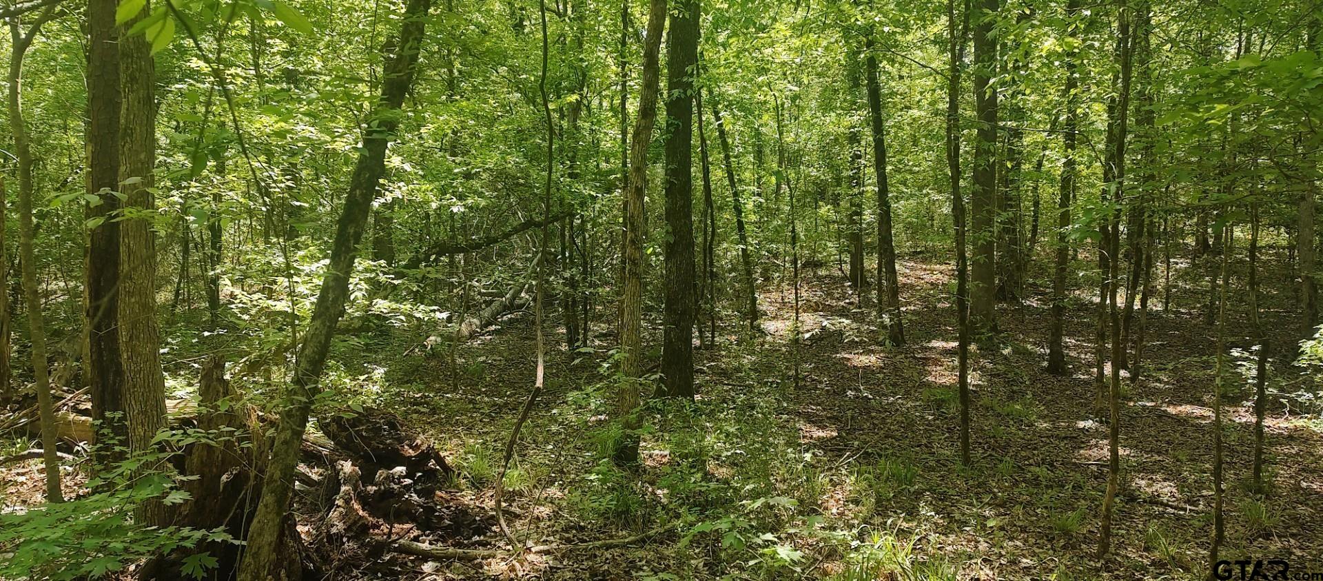 465 Barker Road Timpson, TX 75975 - Photo 25 of 34