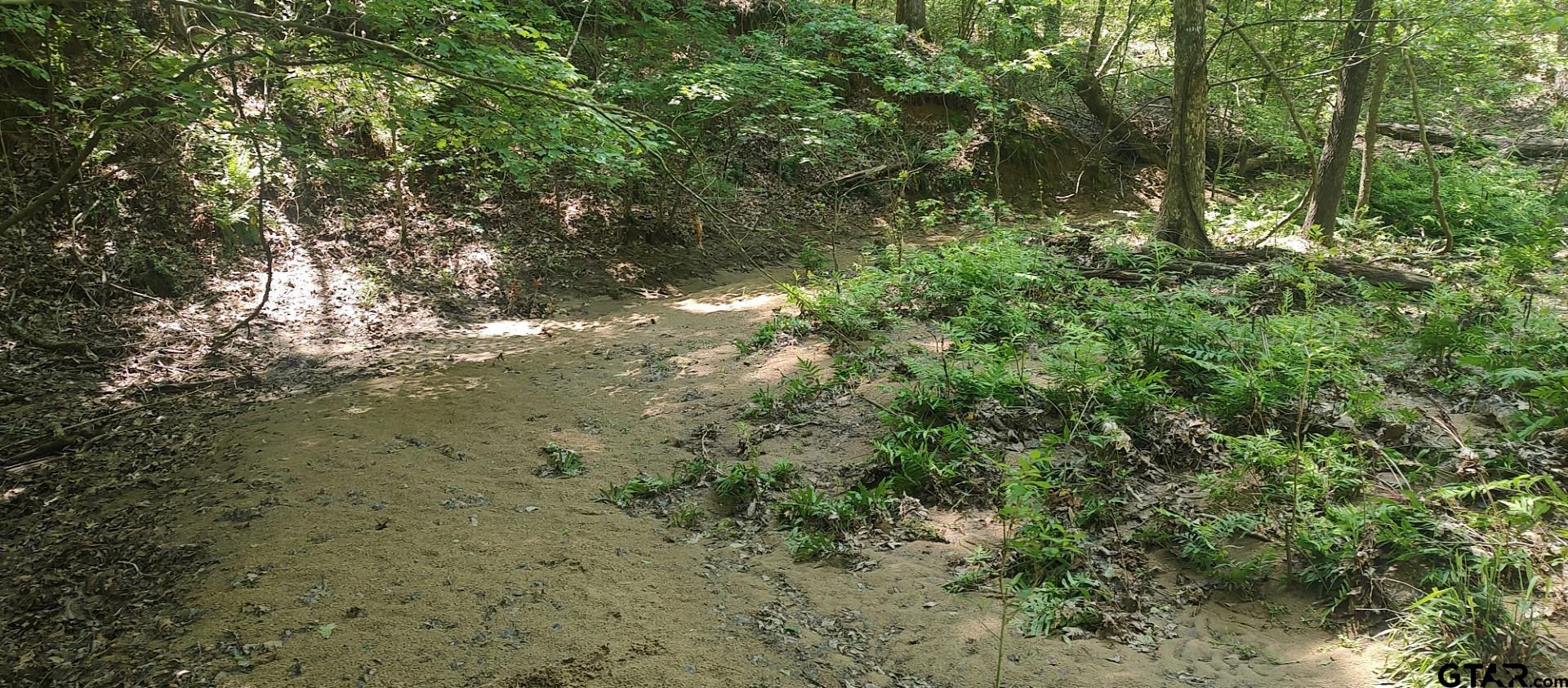 465 Barker Road Timpson, TX 75975 - Photo 26 of 34 a view of a yard with a tree