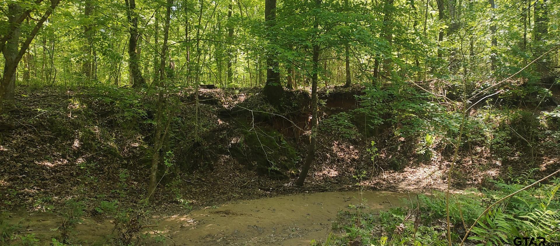 465 Barker Road Timpson, TX 75975 - Photo 29 of 34