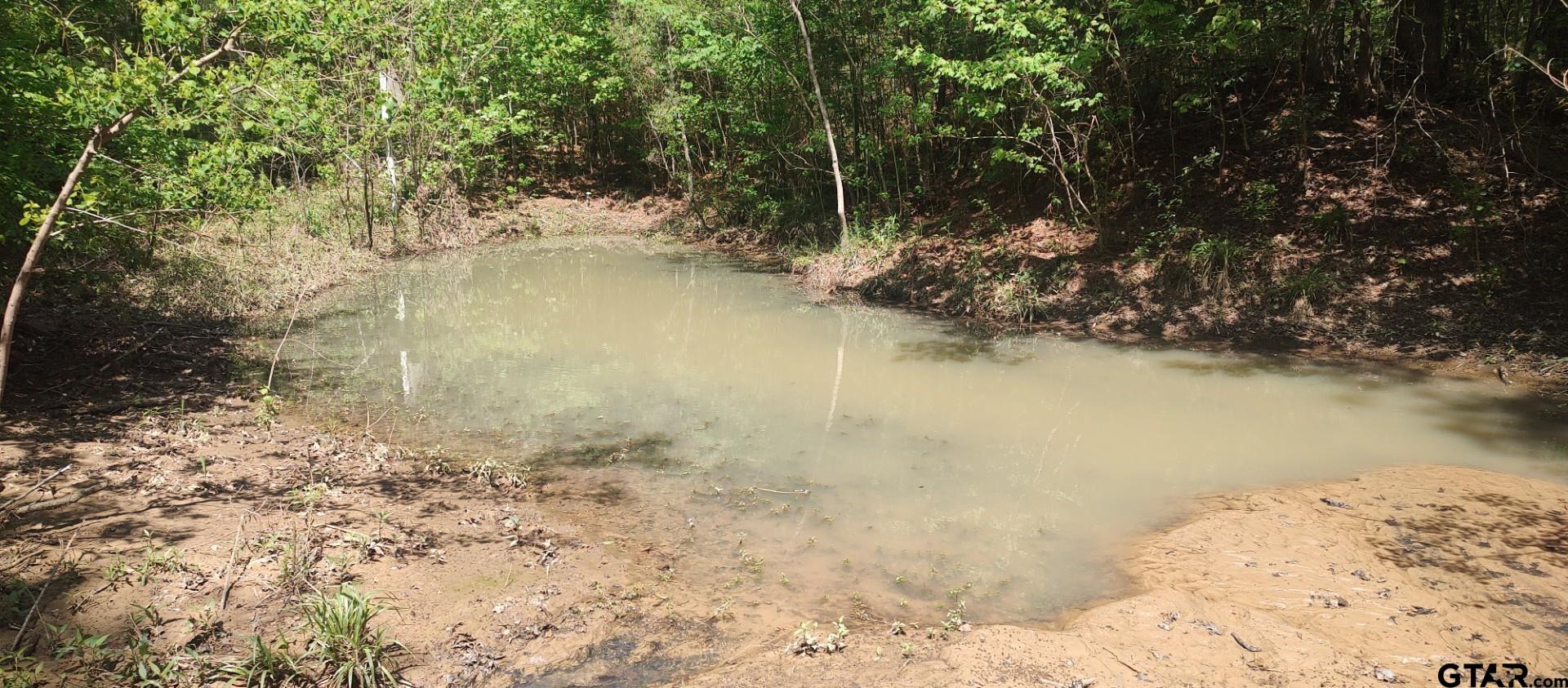 465 Barker Road Timpson, TX 75975 - Photo 30 of 34 a view of lake with mountain