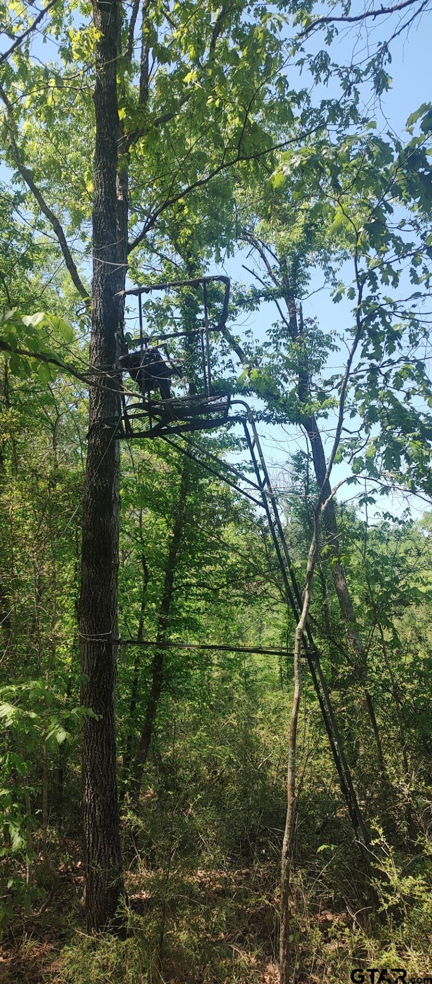 465 Barker Road Timpson, TX 75975 - Photo 32 of 34 a backyard of a house with lots of plants