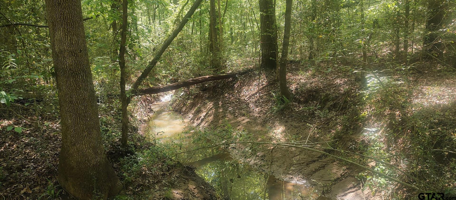 465 Barker Road Timpson, TX 75975 - Photo 5 of 34 a view of forest