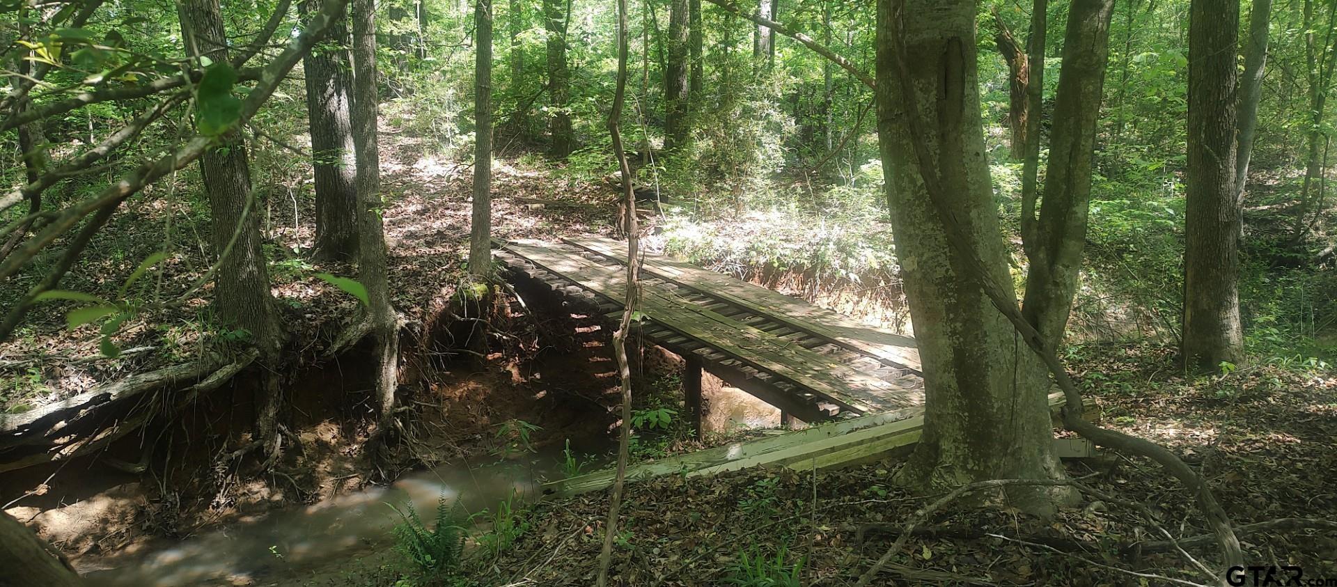 465 Barker Road Timpson, TX 75975 - Photo 6 of 34 a view of forest
