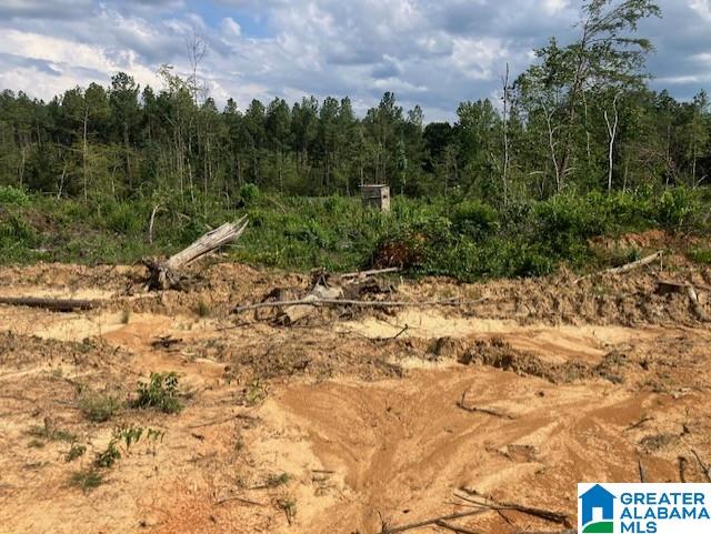 11482 Camp Oliver Road Adger, AL 35006 - Photo 21 of 48