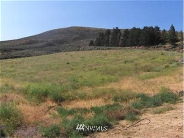 41-b Tozer Road Ellensburg, WA 98926 - Photo 1 of 4 Gallery Image 1