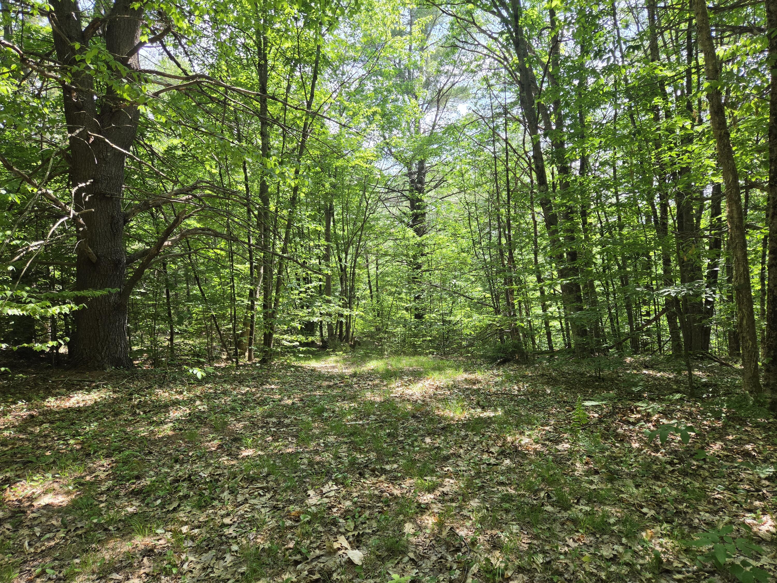 0 Quarry Street Jay, ME 04239 - Photo 2 of 10