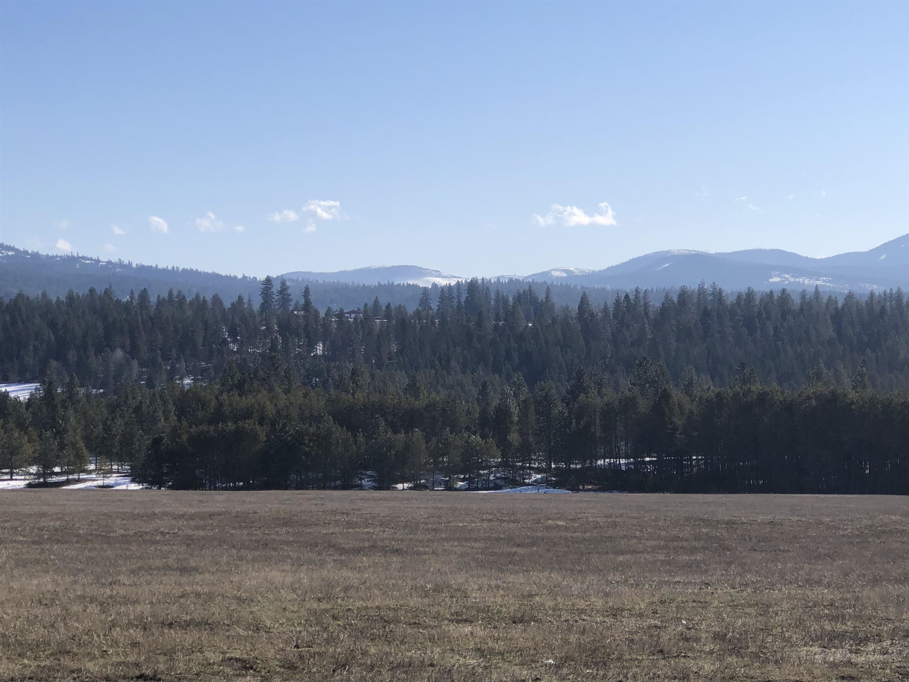 41900 North Darknell Road Elk, WA 99009 - Photo 10 of 33 Gallery Image 10