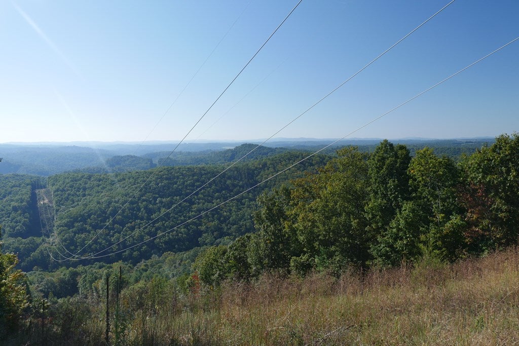 Tbd Hall Hollow Road, Unit 1 Austinville, VA 24312 - Photo 30 of 76 Gallery Image 30