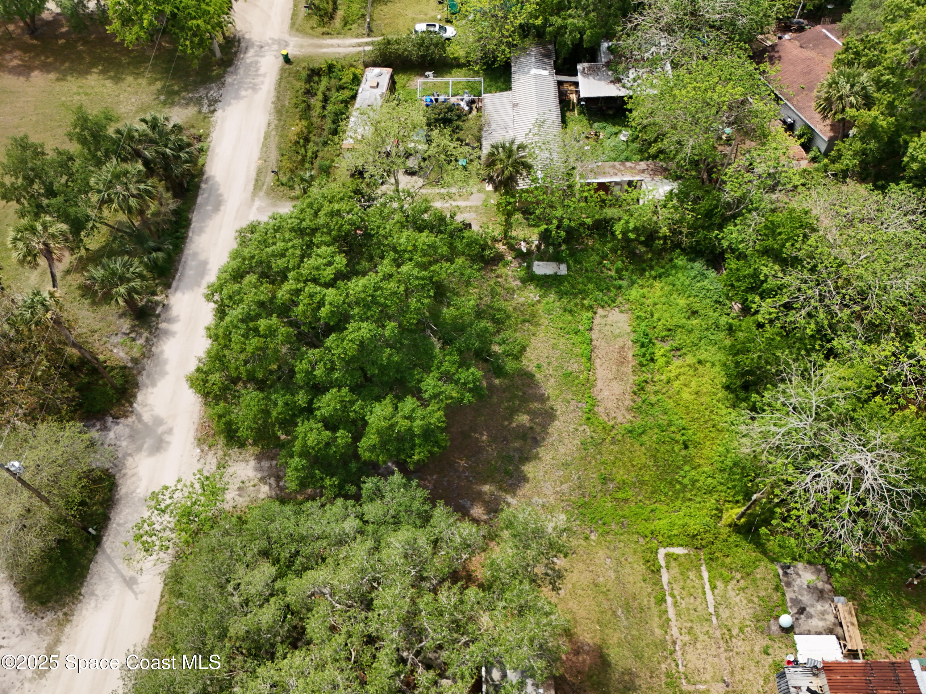 4820 Dogwood Road Mims, FL 32754 - Photo 6 of 11 Sam - 4820 Dogwood -06