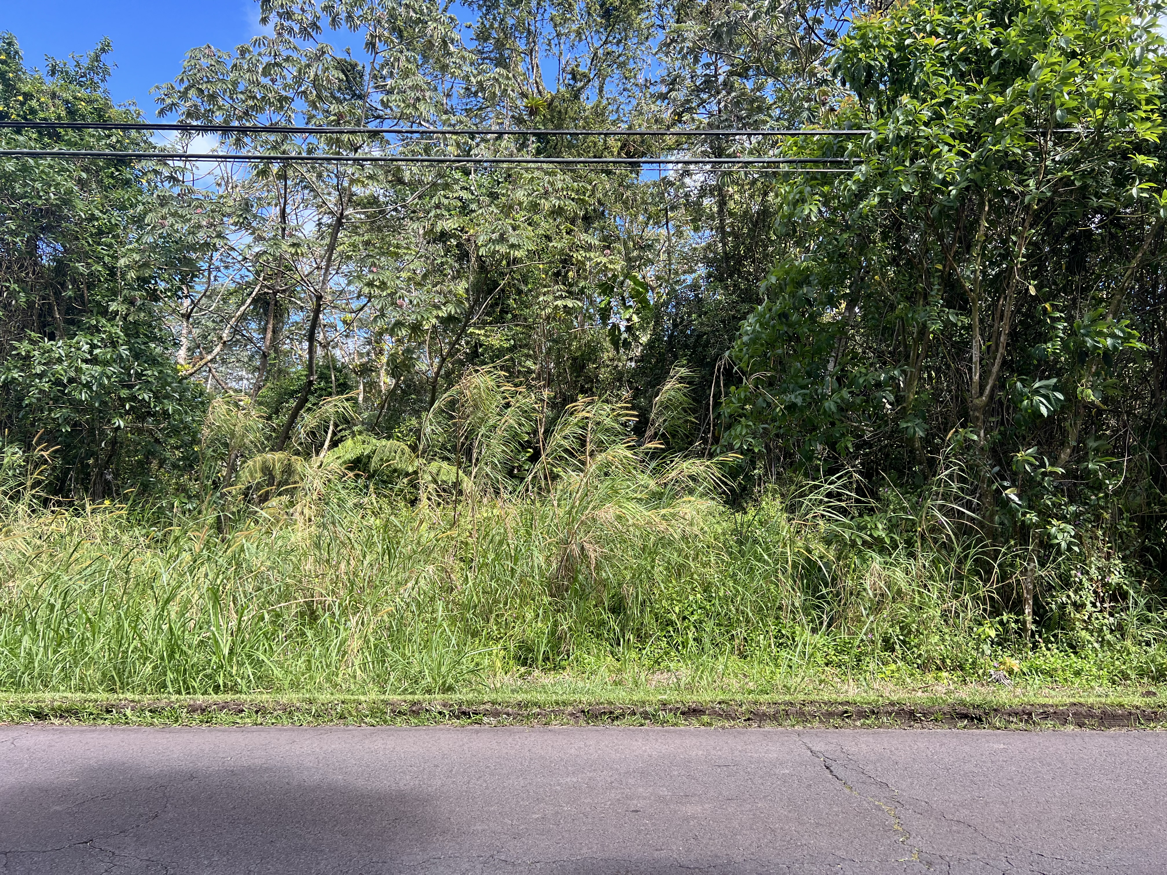 703 Kehau Road Pahoa, HI 96778 - Photo 2 of 5