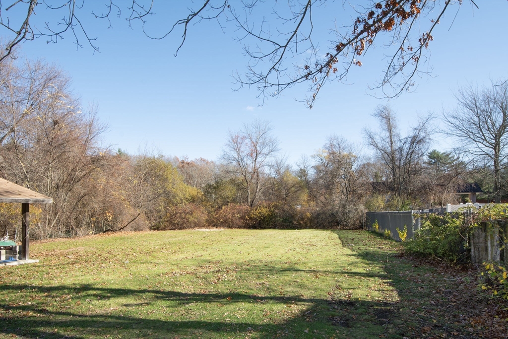 972 Liberty Street Braintree, MA 02184 - Photo 24 of 28 a view of a yard with an trees