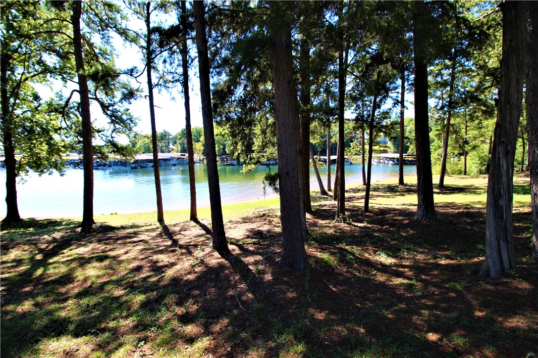10 Anchor Point Anderson, SC 29625 - Photo 22 of 25 Back Yard (Center)