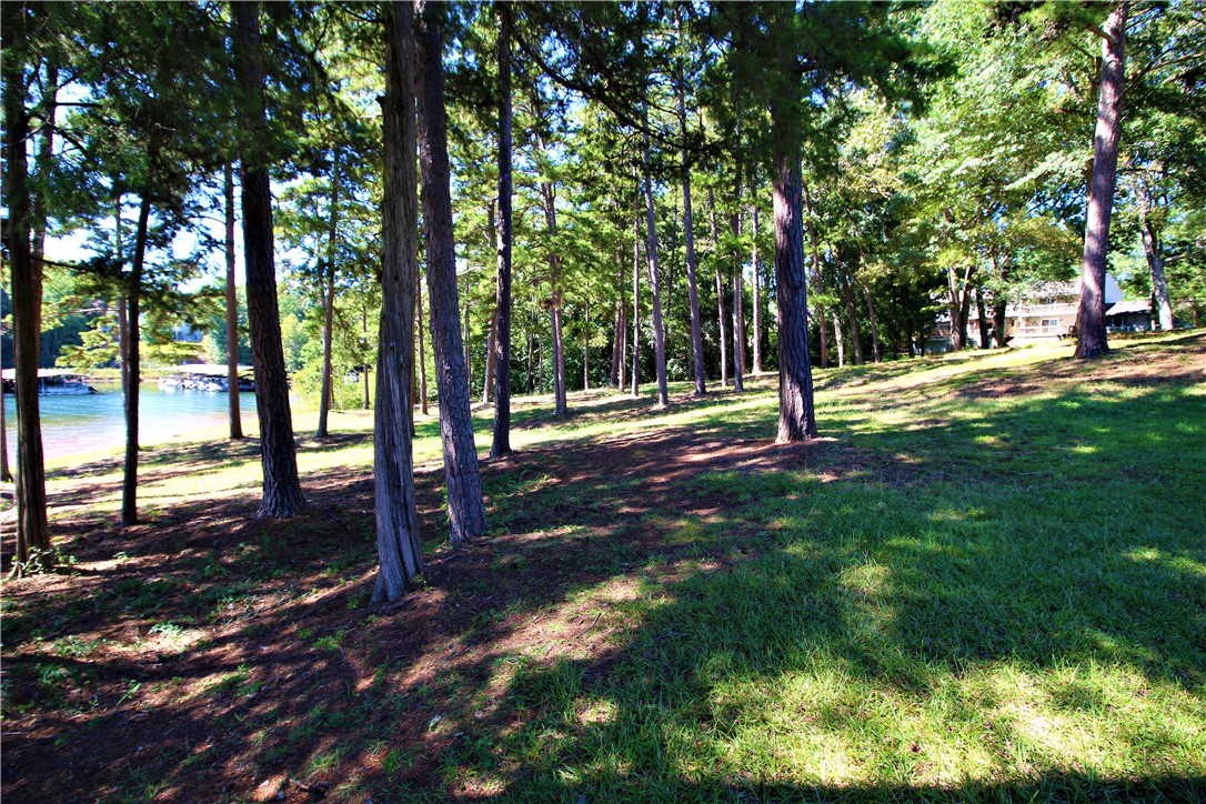 10 Anchor Point Anderson, SC 29625 - Photo 23 of 25 Back Yard (right)