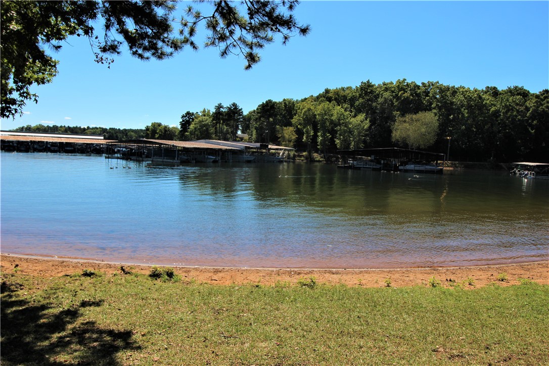 10 Anchor Point Anderson, SC 29625 - Photo 24 of 25 Shoreline of Back Yard