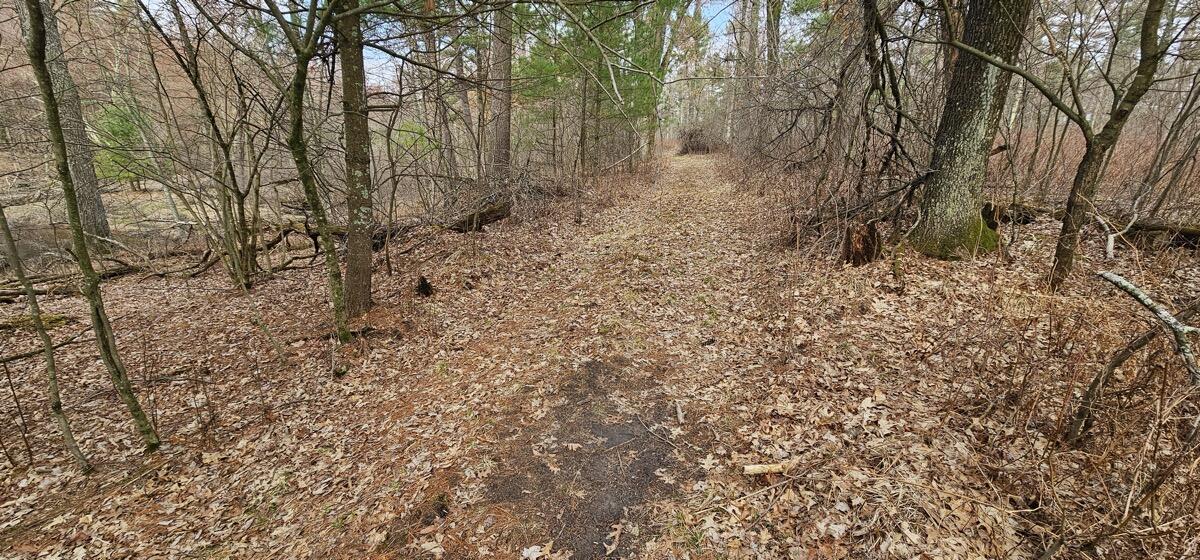 0 Elker Road Merrillan, WI 54754 - Photo 13 of 27 Ground7