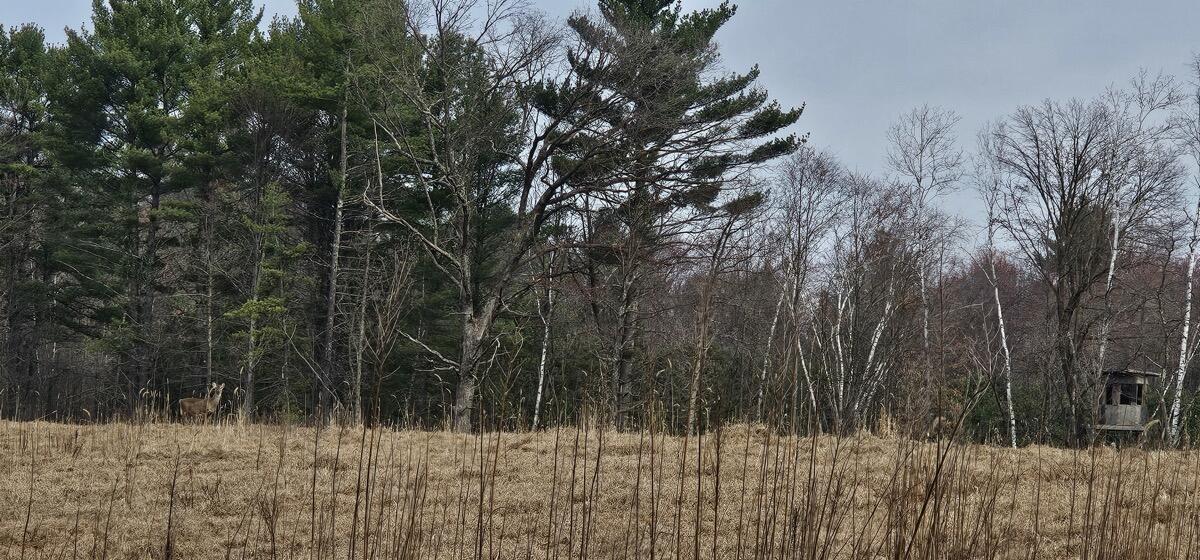 0 Elker Road Merrillan, WI 54754 - Photo 14 of 27 Ground9