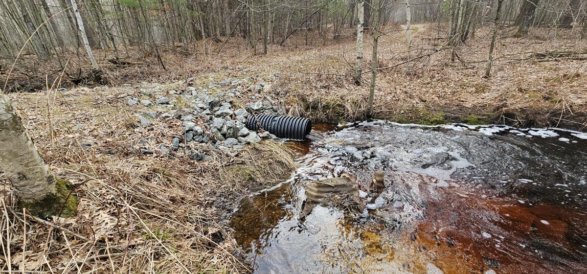 0 Elker Road Merrillan, WI 54754 - Photo 17 of 27 Ground12