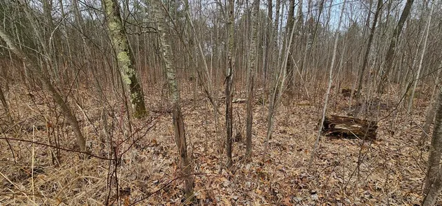 $940,500 | 0 Elker Road, Merrillan, WI 54754