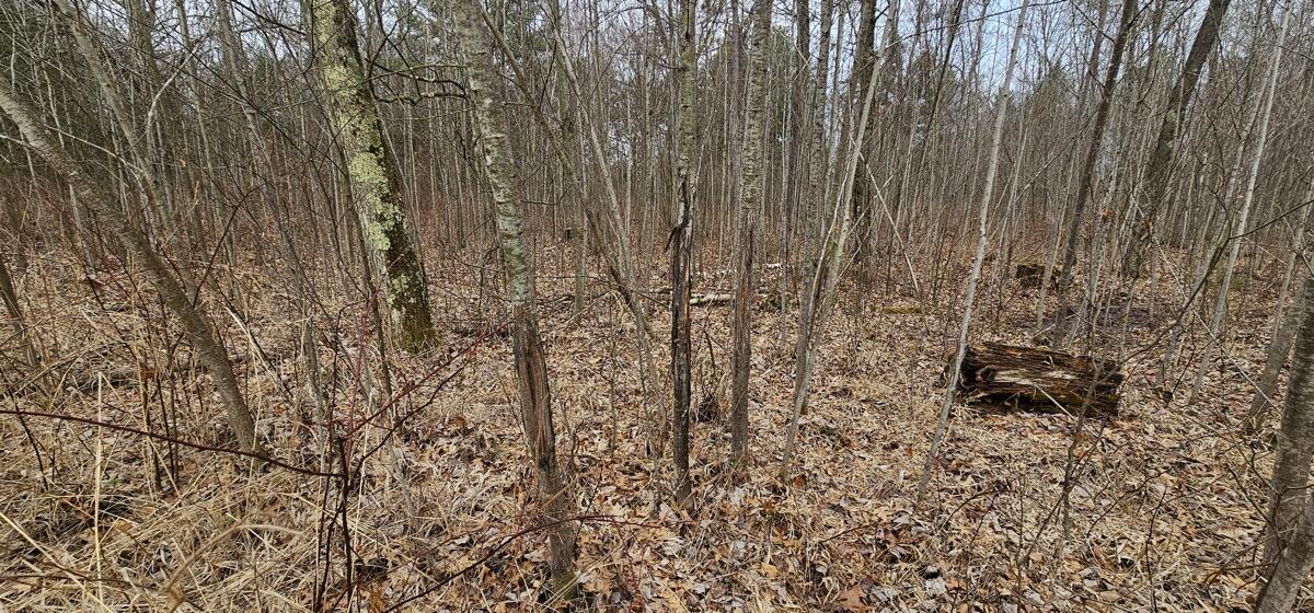 0 Elker Road Merrillan, WI 54754 - Photo 18 of 27 Ground15