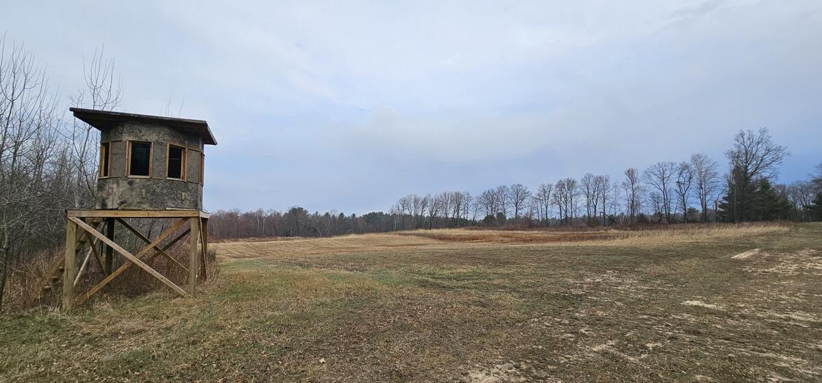 0 Elker Road Merrillan, WI 54754 - Photo 19 of 27 Ground17