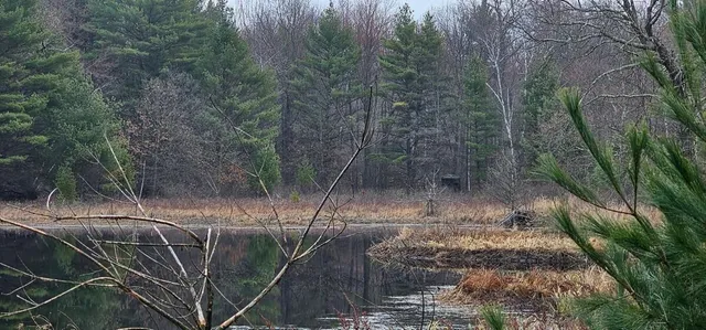 $940,500 | 0 Elker Road, Merrillan, WI 54754