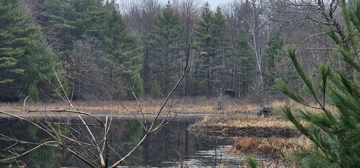 0 Elker Road Merrillan, WI 54754 - Photo 20 of 27 Ground23