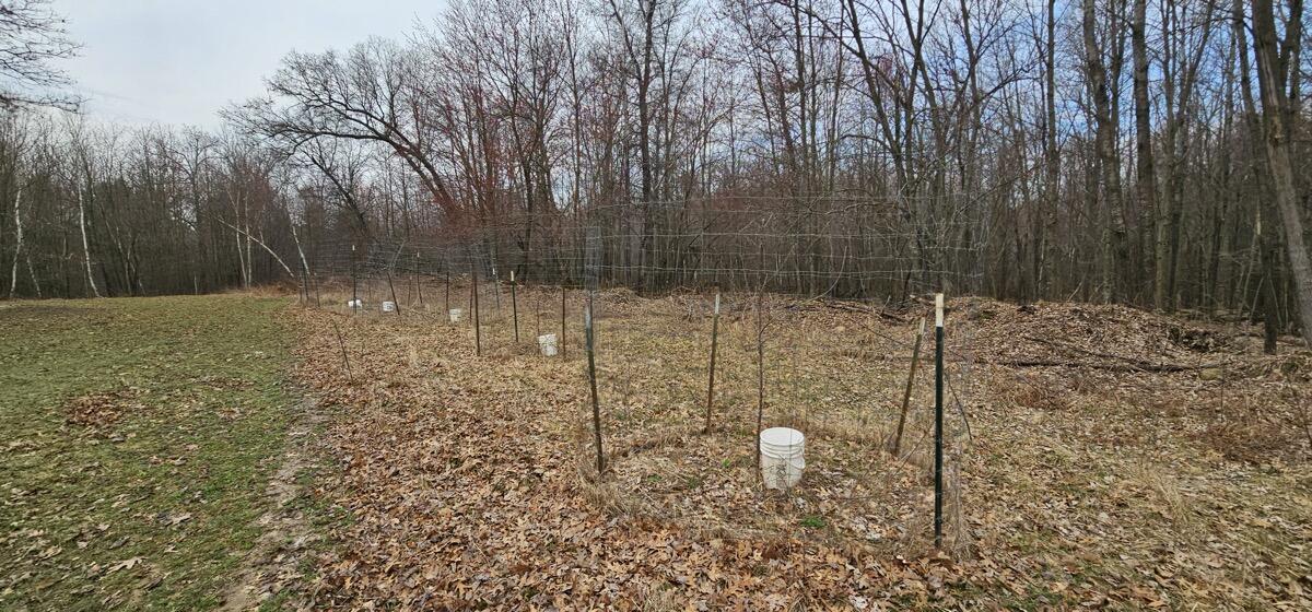 0 Elker Road Merrillan, WI 54754 - Photo 22 of 27 Ground29