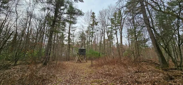 $940,500 | 0 Elker Road, Merrillan, WI 54754