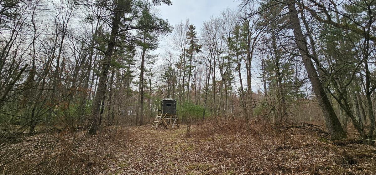 0 Elker Road Merrillan, WI 54754 - Photo 23 of 27 Ground30