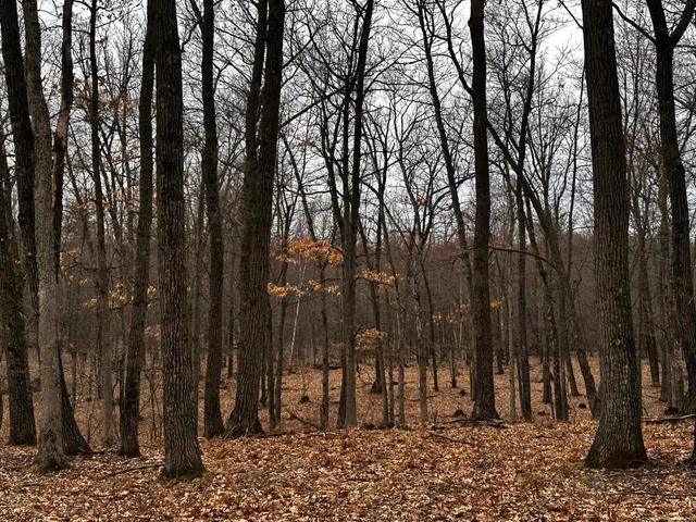 $940,500 | 0 Elker Road, Merrillan, WI 54754