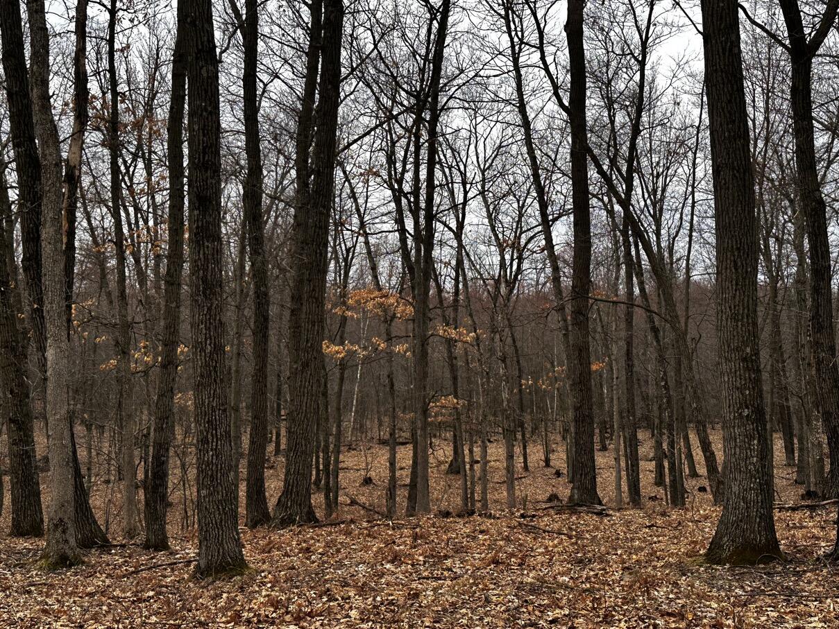 0 Elker Road Merrillan, WI 54754 - Photo 27 of 27 Ground46