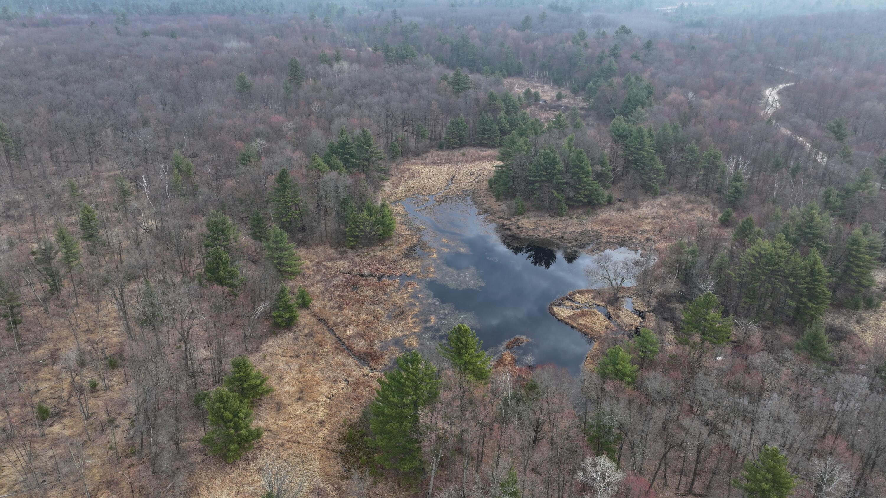 0 Elker Road Merrillan, WI 54754 - Photo 3 of 27 dji_20250423081007_0301_d