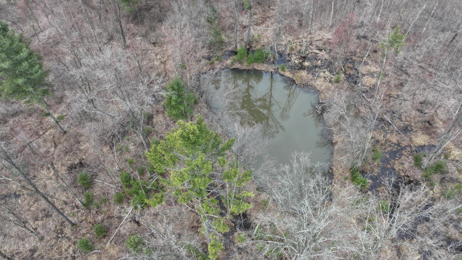 0 Elker Road Merrillan, WI 54754 - Photo 8 of 27 Drone17